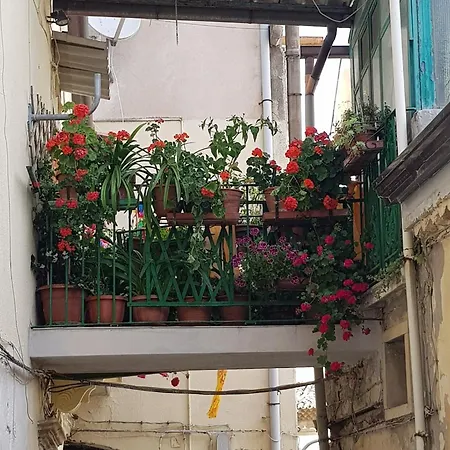 Cafuorchie - Arco Pronti *